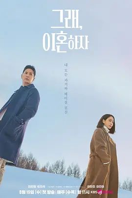 好，我们离婚吧海报